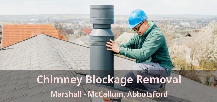 Chimney Blockage Removal Marshall - McCallum, Abbotsford - BC Chimney Blockage Removal Marshall - McCallum, Abbotsford - BC