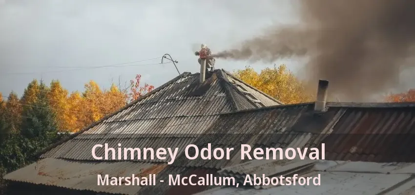 Chimney Odor Removal Marshall - McCallum, Abbotsford - BC