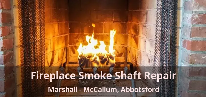 Fireplace Smoke Shaft Repair Marshall - McCallum, Abbotsford - BC
