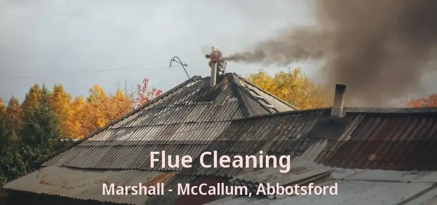 Flue Cleaning Marshall - McCallum, Abbotsford - BC