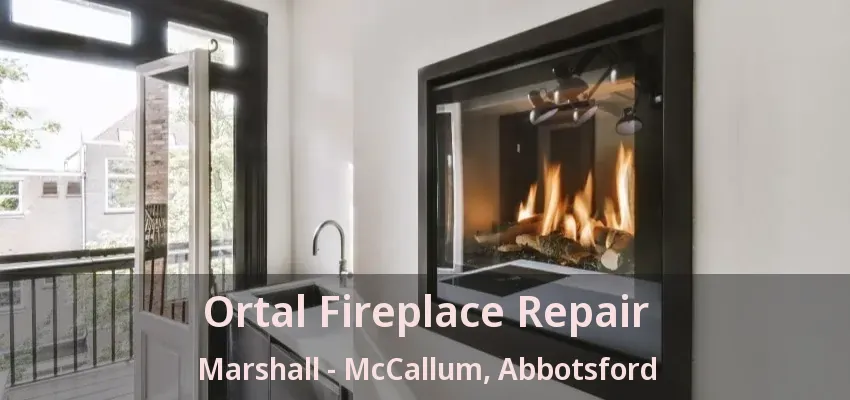 Ortal Fireplace Repair Marshall - McCallum, Abbotsford - BC Ortal Fireplace Repair Marshall - McCallum, Abbotsford - BC